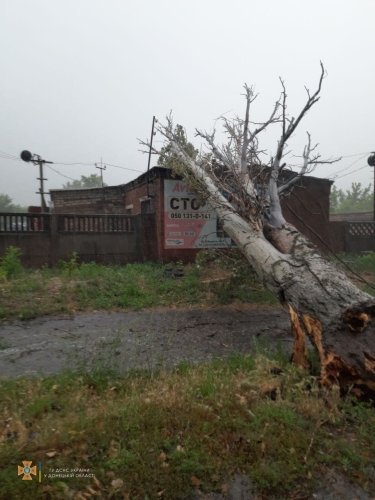 Фото 4 — Снес крыши, деревья и водонапорную башню: по Донецкой и Луганской областям прошел ураган