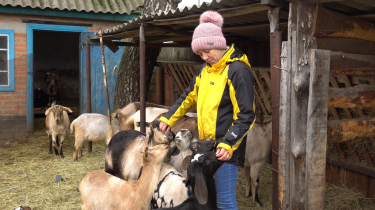 Фото 5 — Як підтримати грантами малий бізнес під час війни: кейс "Астарти" та Райффайзен Банку