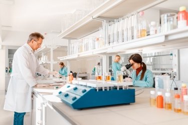 Фото 2 — Инновации в агробизнесе: стратегия успеха ALFA Smart Agro