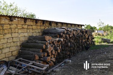Фото 2 — В нацпарку "Куяльницький" навесні вирубили дерев на 80 мільйонів: підозру отримав директор лісгоспу (ФОТО)