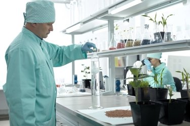 Фото 3 — Инновации в агробизнесе: стратегия успеха ALFA Smart Agro
