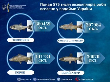 Фото 2 — Товстолоб, форель і короп: у водойми України випустили понад 875 тисяч риб