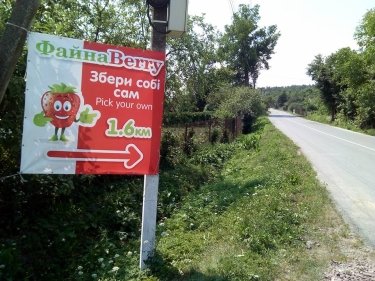 Фото 4 — ФайнаBerry: агротуризм — це цікаво для міських жителів, що виросли "на асфальті"