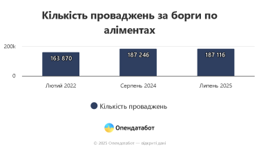 Фото 2 — В Україні побільшало боргів зі сплати аліментів: найбільше проваджень відкрито на жінку з Київщини