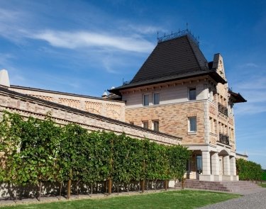 Фото 5 — В Украине ежегодно растет спрос на сухие вина — Chateau Chizay