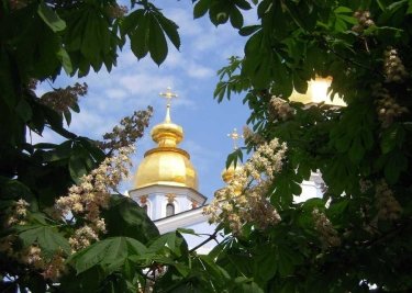 Фото 14 — Мой Киев: кто посадил в городе первые каштаны