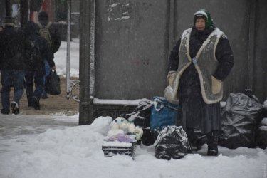 Фото 16 — На юг Украины обрушился снегопад, в Одессу закрыли въезд фурам (ФОТО, ВИДЕО)