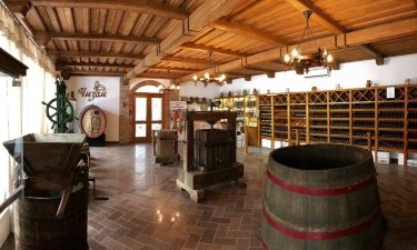 Фото 2 — В Украине ежегодно растет спрос на сухие вина — Chateau Chizay