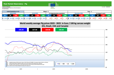 Фото 3 — Закупівельні ціни на свиней живою вагою на 12-18 січня 2026