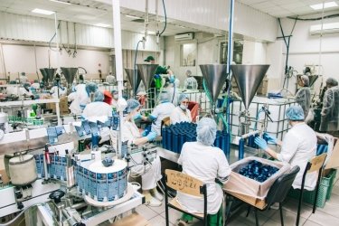 Фото 7 — Где и как сеть EVA производит собственную косметику