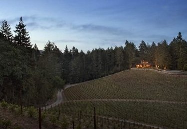 Фото 11 — ФайнаBerry: агротуризм — це цікаво для міських жителів, що виросли "на асфальті"