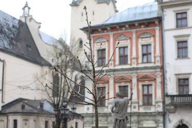 Фото 6 — Львов просит США помочь с территориальной обороной города