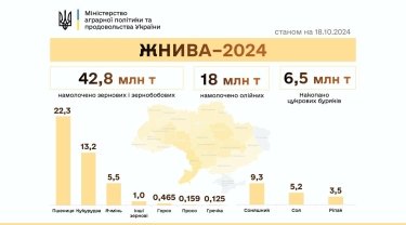 Фото 2 — Жнива-2024: цукрові буряки збирають вже в 14 областях