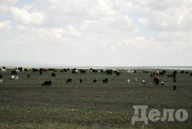 Фото 10 — Где спрятано экономическое чудо Монголии