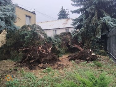 Фото 3 — Снес крыши, деревья и водонапорную башню: по Донецкой и Луганской областям прошел ураган