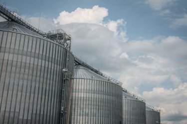 Фото 5 — Как производят курятину на крупнейшем птицекомплексе "Мироновского хлебопродукта" (ФОТО)