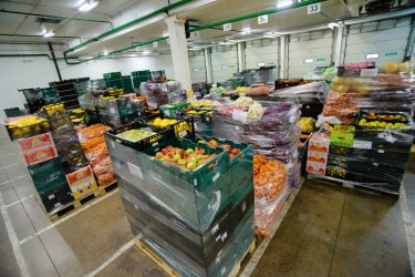 Фото 5 — Зачем Fozzy Group открыла собственную лабораторию?