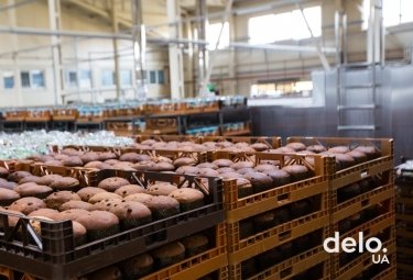 Фото 6 — Как выпекают паски — репортаж с одного из крупнейших хлебозаводов в Киевской области