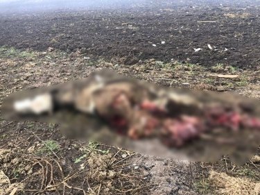 Фото 11 — На Сумщине обстрелом из РФ разрушен дом в пограничном себе: внутри чудом выжил парень (ФОТО)
