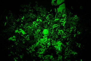 Фото 2 — В PinchukArtCentrе художники прогнозируют будущее с помощью высоких технологий (фото)