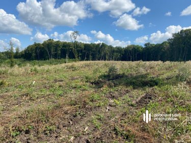 Фото 4 — Через директора господарства на Вінничині незаконно вирубили 14 га лісу: для відновлення потрібно десятки років (ФОТО)