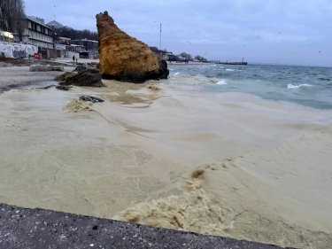 Фото 3 — На побережье Одессы обнаружили погибших птиц и пятна, похожие на нефтяные (ФОТО)