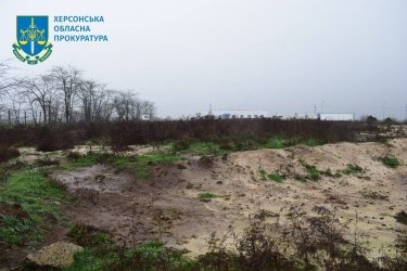Фото 3 — В Чернобаевке обнаружили массовый мор птиц – следствие российской агрессии