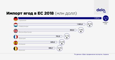 Фото 2 — Какие требования ЕС предъявляет к ягодам