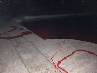 Фото 2 — В Італії спалили віллу кремлівського пропагандиста Соловйова та залишили йому послання (ФОТО)