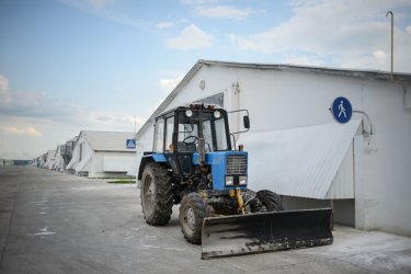 Фото 2 — Как производят курятину на крупнейшем птицекомплексе "Мироновского хлебопродукта" (ФОТО)