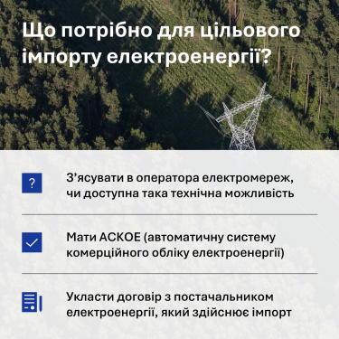 Фото 2 — Як імпорт рятує бізнес від відключень електроенергії