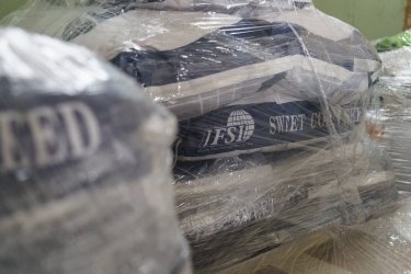 Фото 6 — Понад 200 тисяч домогосподарств в Україні отримають насіння овочів для посівної