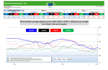 Фото 3 — Закупочные цены на свиней живым весом на 23-29 марта 2026 года