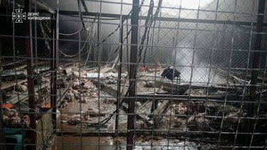 Фото 2 — Росія вдарила по птахофабриці на Київщині, де перебувало 16 тисяч птахів