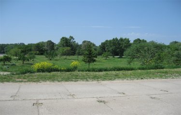 Фото 6 — Васадзе продал землю автозавода в Польше