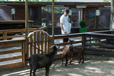 Фото 18 — Як команда Національного комплексу “Експоцентр України” перезапускає бізнес-діяльність після кількох місяців простою