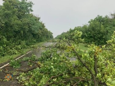 Фото 8 — Снес крыши, деревья и водонапорную башню: по Донецкой и Луганской областям прошел ураган