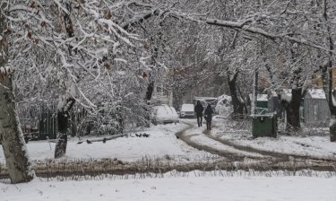 Фото 70 — На юге Украины из-за снега закрыли дороги, фуры не пускают даже в Киев (ФОТО, ВИДЕО)