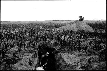 Фото 8 — Что снимают на войне фотографы-аматоры — конкурс военной фотографии