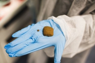 Фото 5 — Королевский крокет: как производят корм для домашних животных