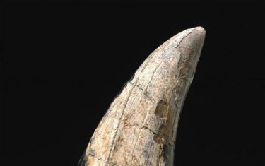 Фото 4 — Рейтинг самых дорогих лотов в 2011 году