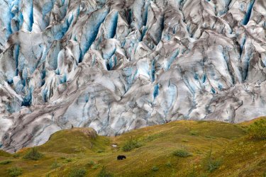 Фото 20 — Люди и звери на фото ежегодного конкурса National Geographic