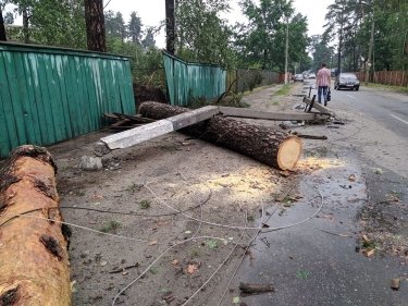 Фото 6 — Под Киевом ураган повалил деревья и оставил людей без света (ФОТО, ВИДЕО)