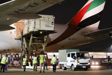 Фото 3 — Авиакомпания Emirates SkyCargo перевезет из Бельгии в Японию 247 лошадей