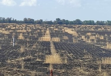 Фото 11 — Россия уничтожает урожай украинских фермеров, нанося удары FPV-дронами по полям