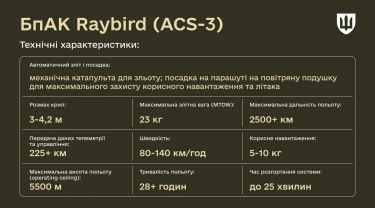 Фото 2 — Як "пташка" Raybird допомагає нищити ворога: у Міноборони розповіли про український БпАК