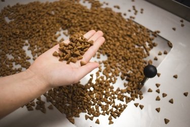 Фото 7 — Королевский крокет: как производят корм для домашних животных