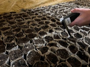 Фото 2 — Выращивали коноплю методом гидропоники: в Украине разоблачили производство наркотиков на индустриальном уровне (ВИДЕО)