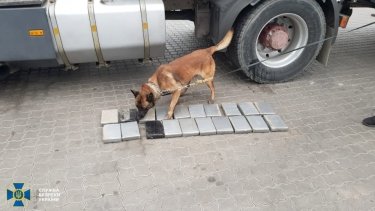 Фото 2 — СБУ нашла среди приплывших из Эквадора бананов 20 кг кокаина (ФОТО)