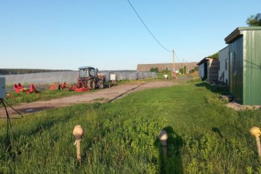 Фото 2 — Земля, техніка та контракти з мережами: на Київщині продають ягідно-овочевий бізнес за $275 тис.